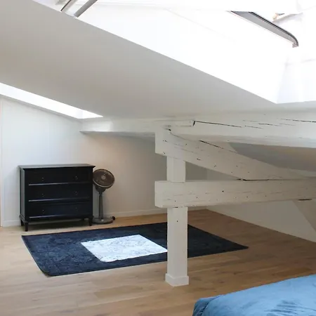 Apartment Duplex - Close To Place De La Bastille Paris